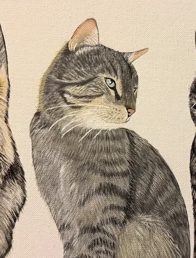 Custom pet portrait of Juni by ACC Paintings